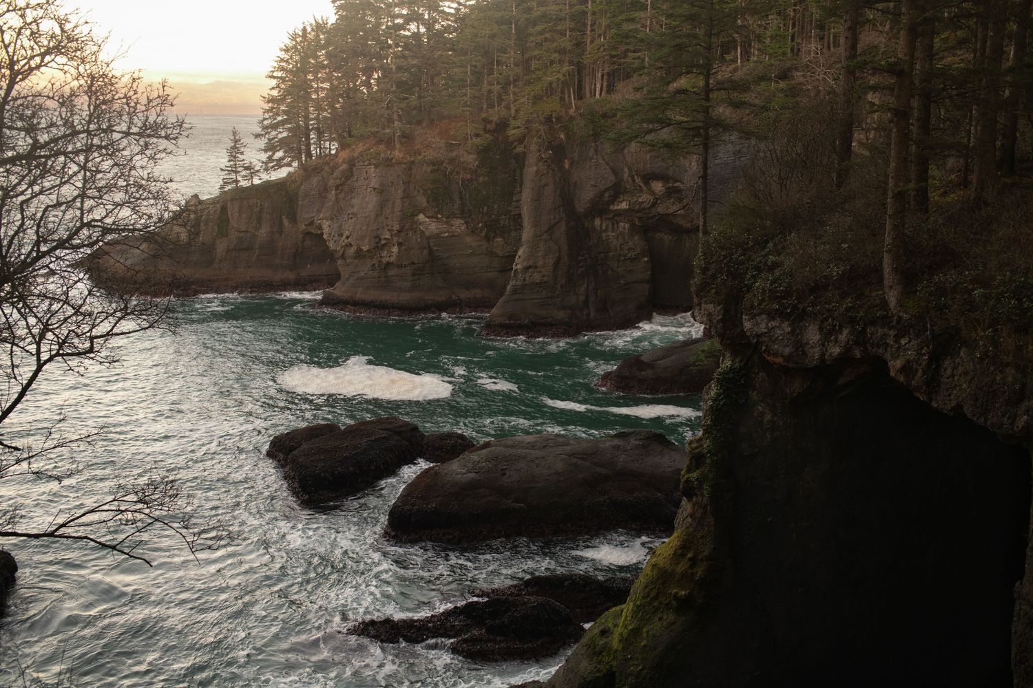 Cape flattery in Neah Bay, WA near Olympic National Park at sunset.