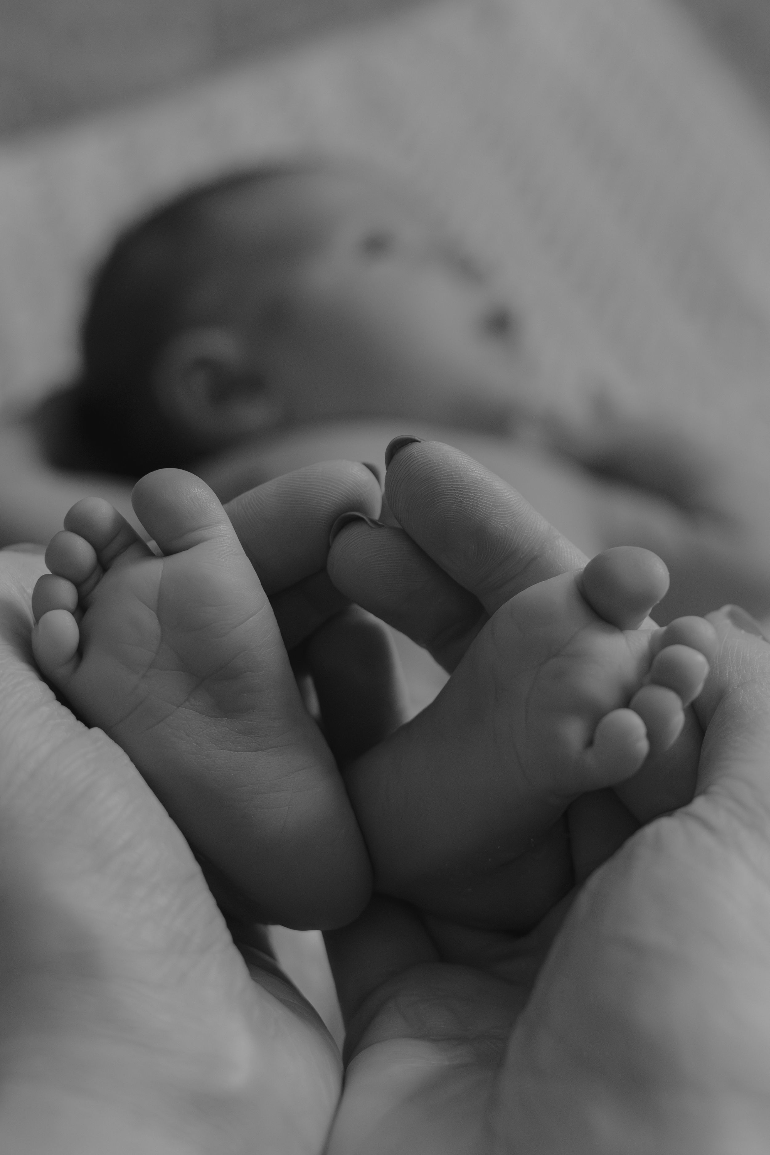 Black and white close-up of tiny baby feet cradled in adult hands.