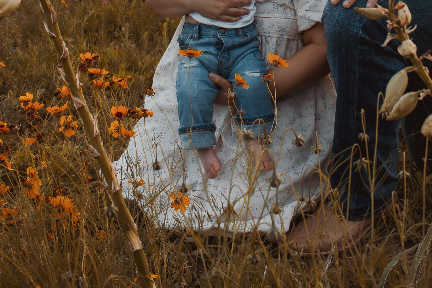 family photo shoot