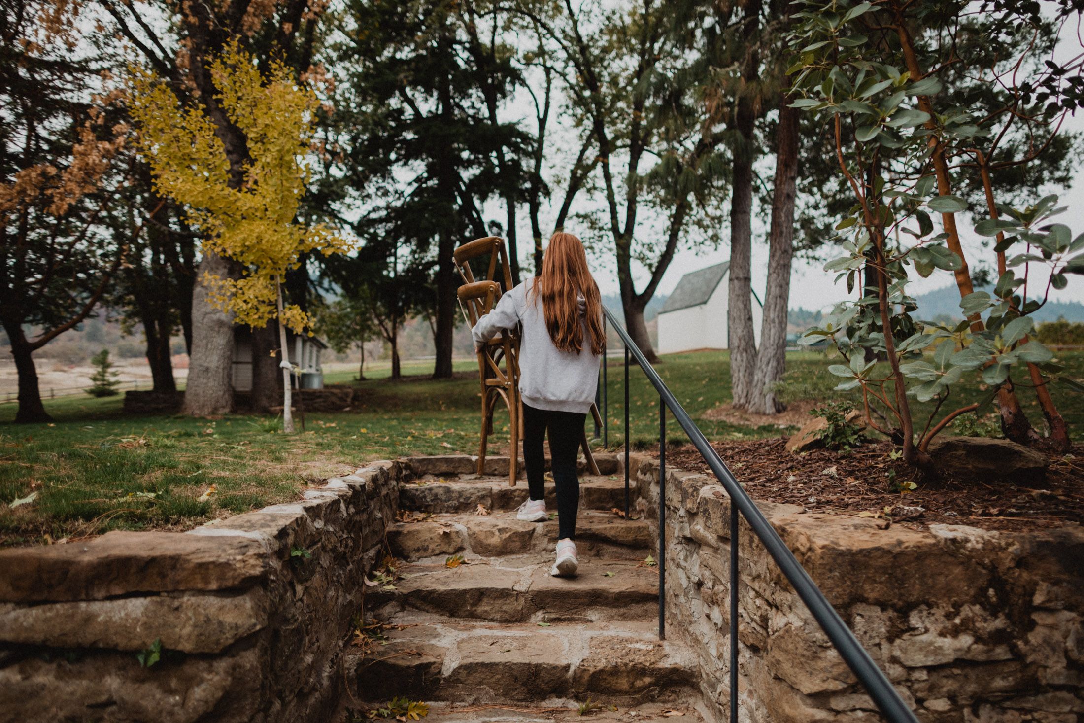 A scenic trail path winds through autumn trees with golden foliage in a peaceful woodland setting.
