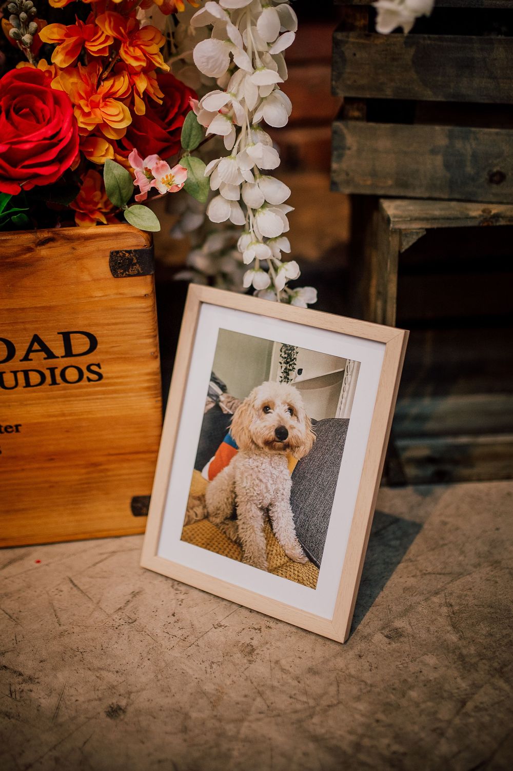Framed photo of a fluffy white dog displayed with orange and red flowers against a rustic wooden backdrop.