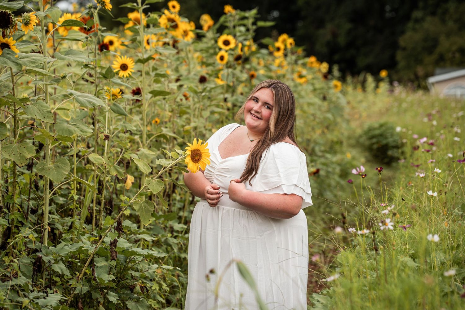 A person in a white dress stands in a blooming field of yellow sunflowers and wildflowers on a sunny day.