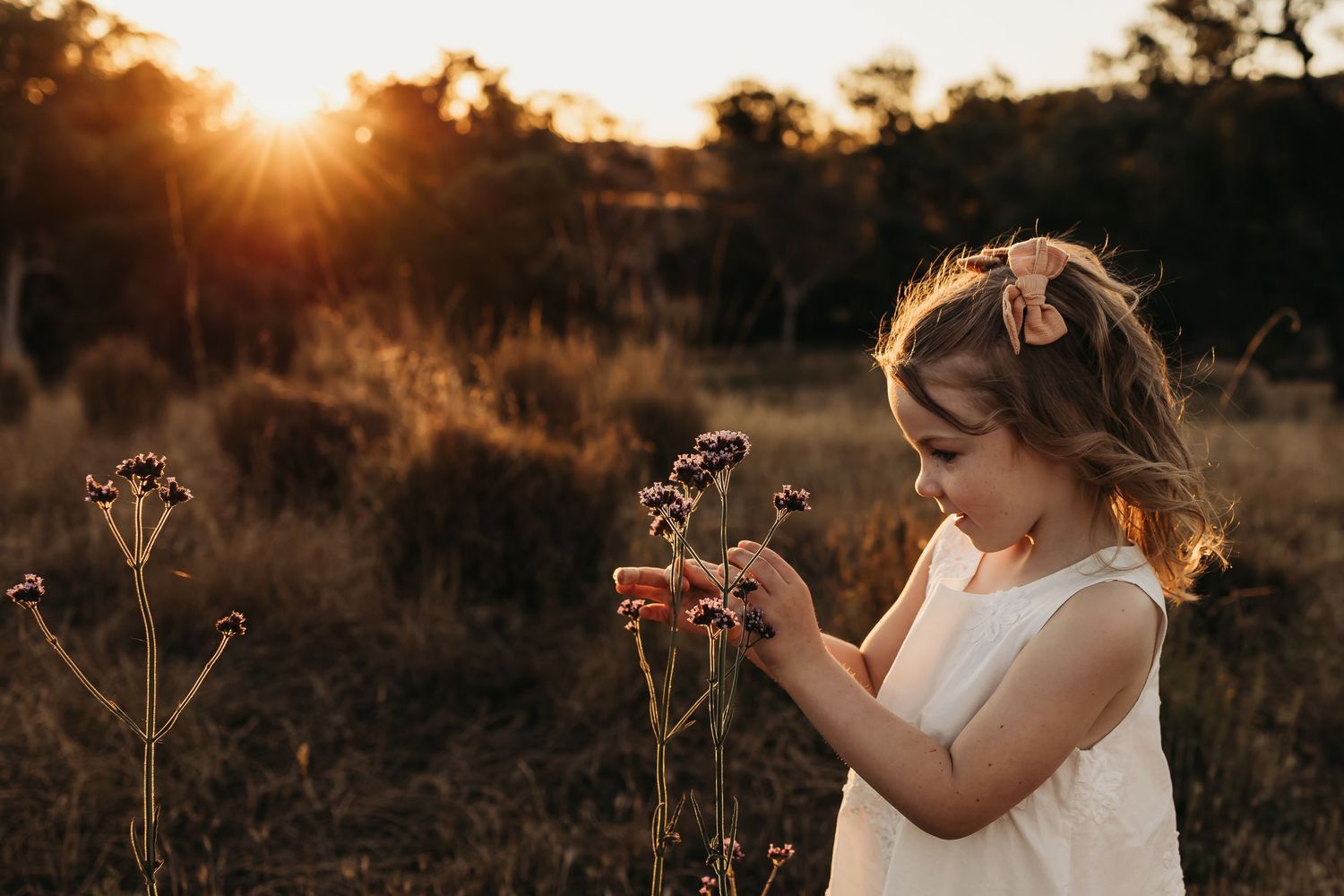 A person in a white dress stands in a golden field at sunset with sunflare illuminating the scene.