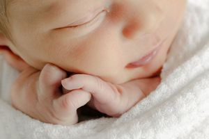 Series of intimate newborn detail shots showing delicate features in gentle lighting.