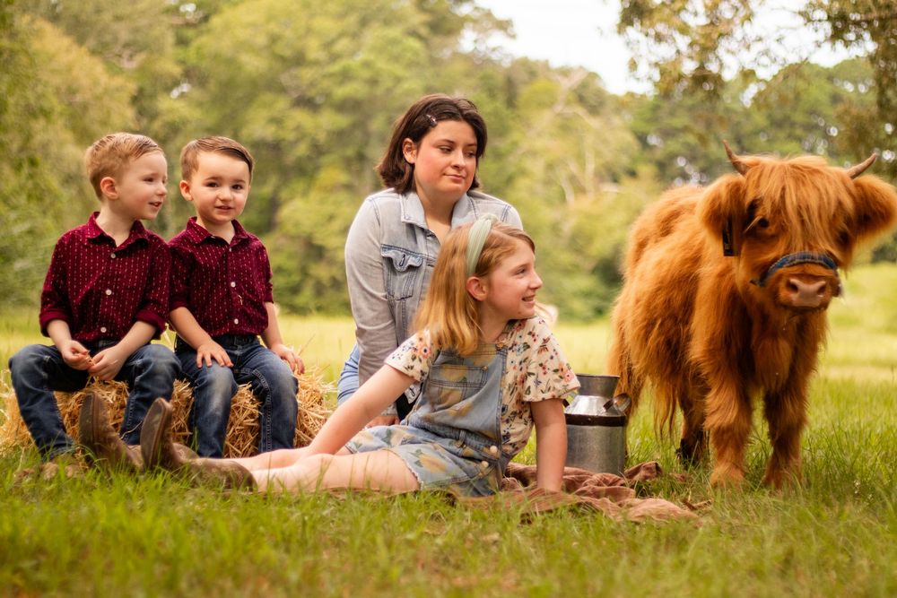 A series of outdoor photos showing people and a brown Highland cow relaxing in a grassy field on a sunny day.