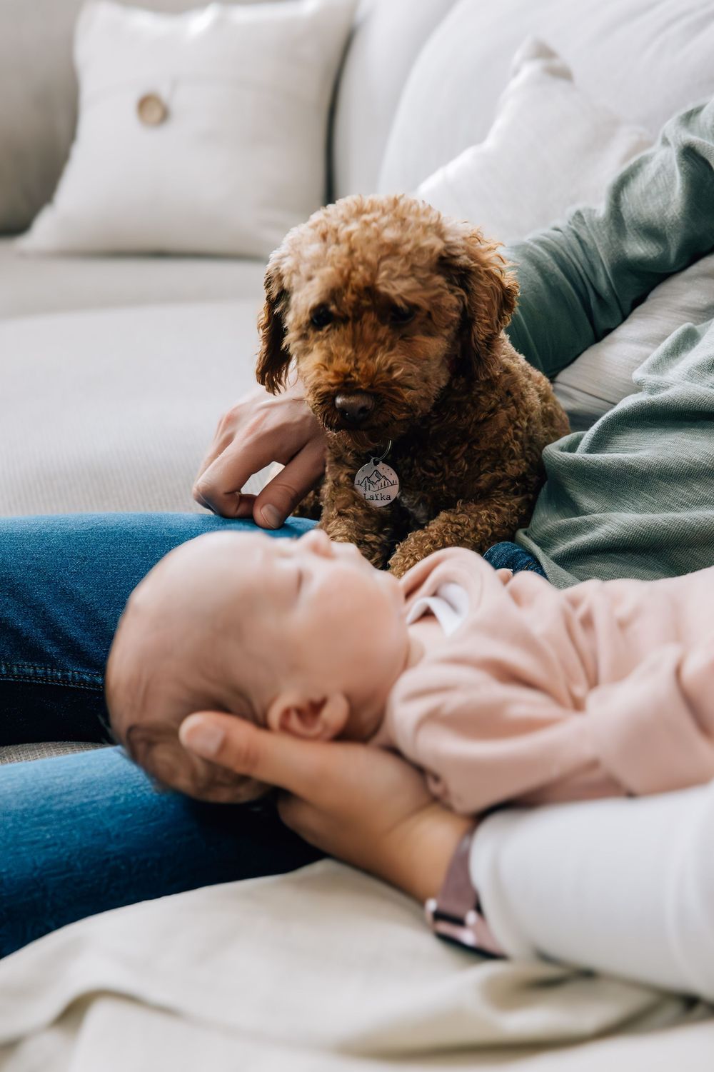 Fluffy brown puppy sitting beside sleeping newborn baby on couch.