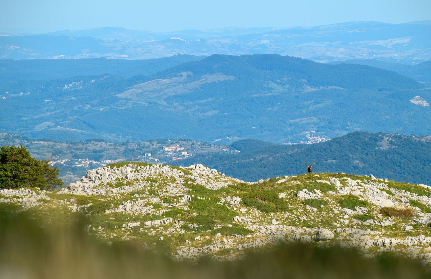 Panoramic mountain landscape with rolling hills and distant peaks stretching across the horizon under blue skies.