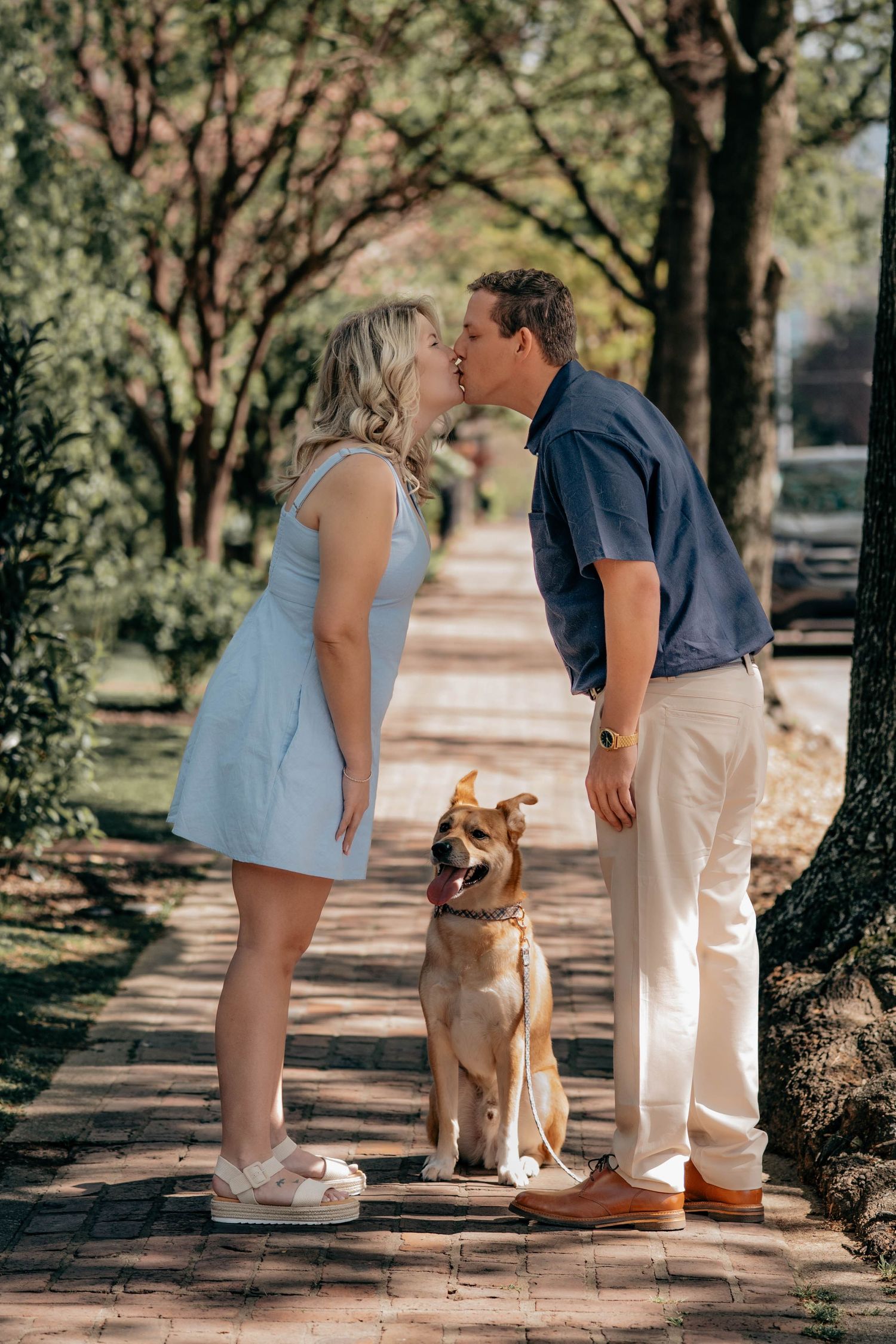 A couple shares a romantic moment on a brick path while their happy brown dog sits between them on a sunny day.
