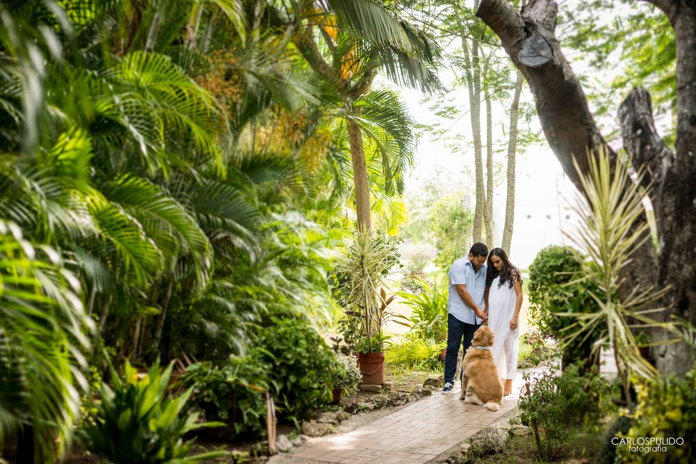 Couple walking hand in hand along a tropical garden path surrounded by palm trees.