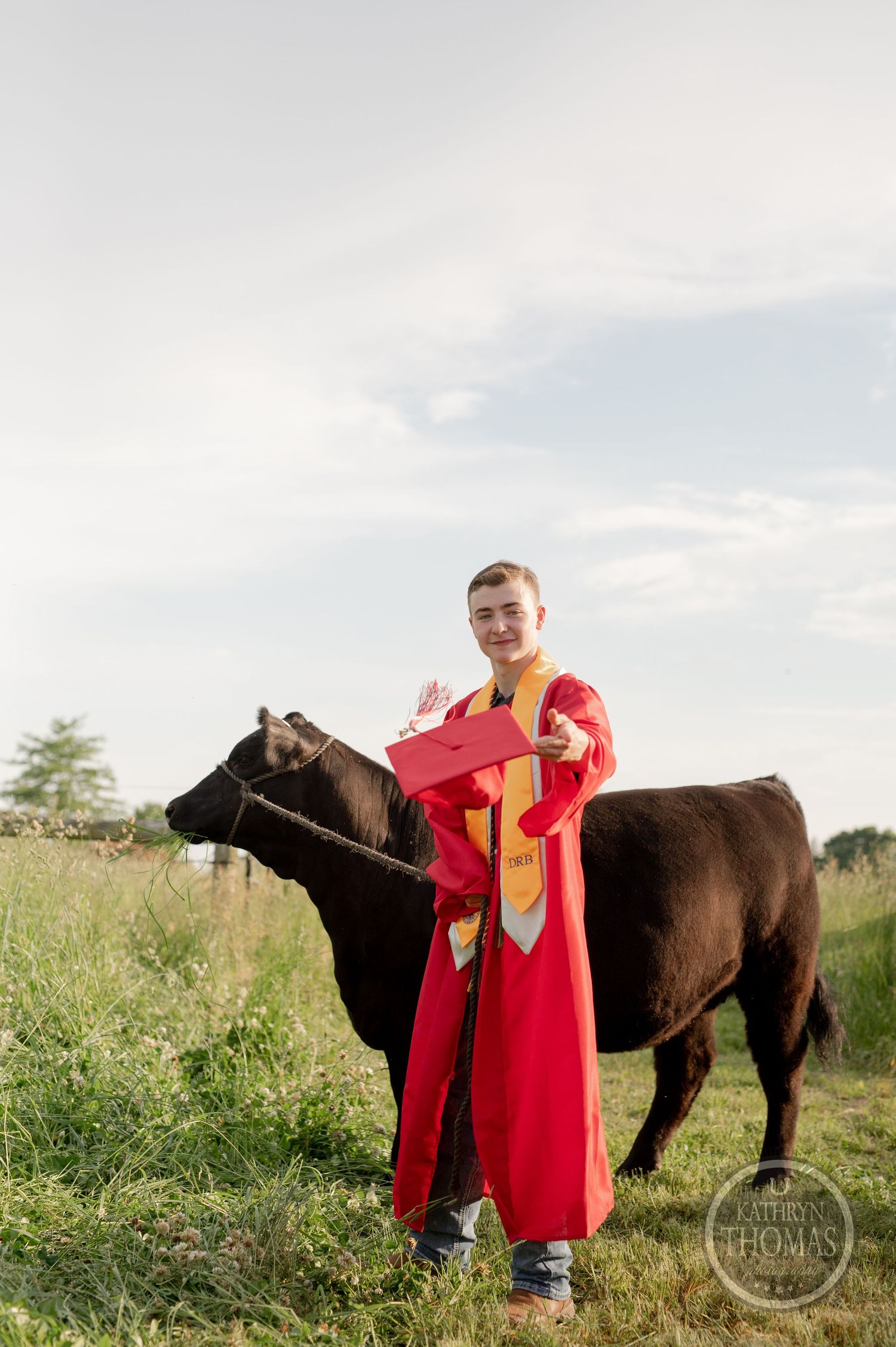 A graduate in bright red regalia poses with their black cow in a sunny field.