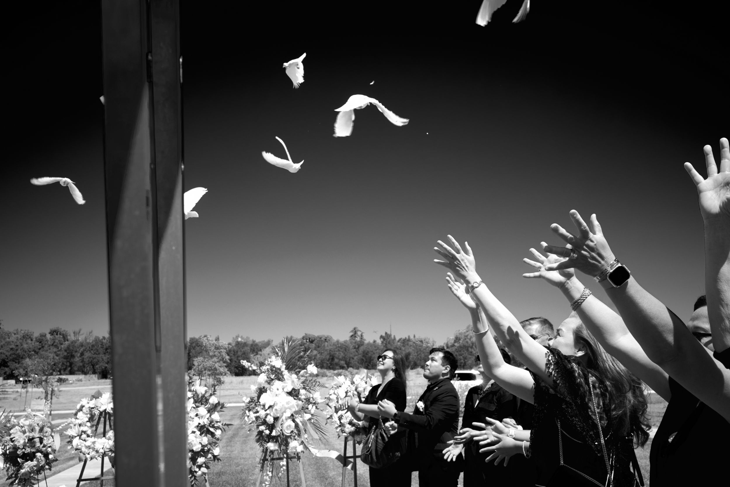 Silhouetted crowd raises their hands during a Wings of Love Ceremonial Dove Release at San Joaquin Catholic Cemetery in Stockton California.