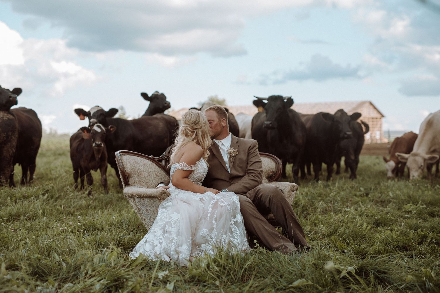 A couple in wedding attire sits in a grassy field surrounded by grazing buffalo on a cloudy day.