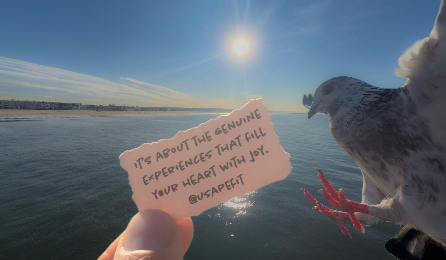A series of handwritten notes on pink paper held against scenic ocean and sky backgrounds at sunset.