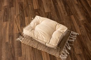 Wire metal newborn bed with off white mattress
