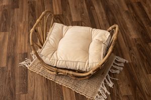 Rattan newborn bed shaped like a butterfly with off white mattress