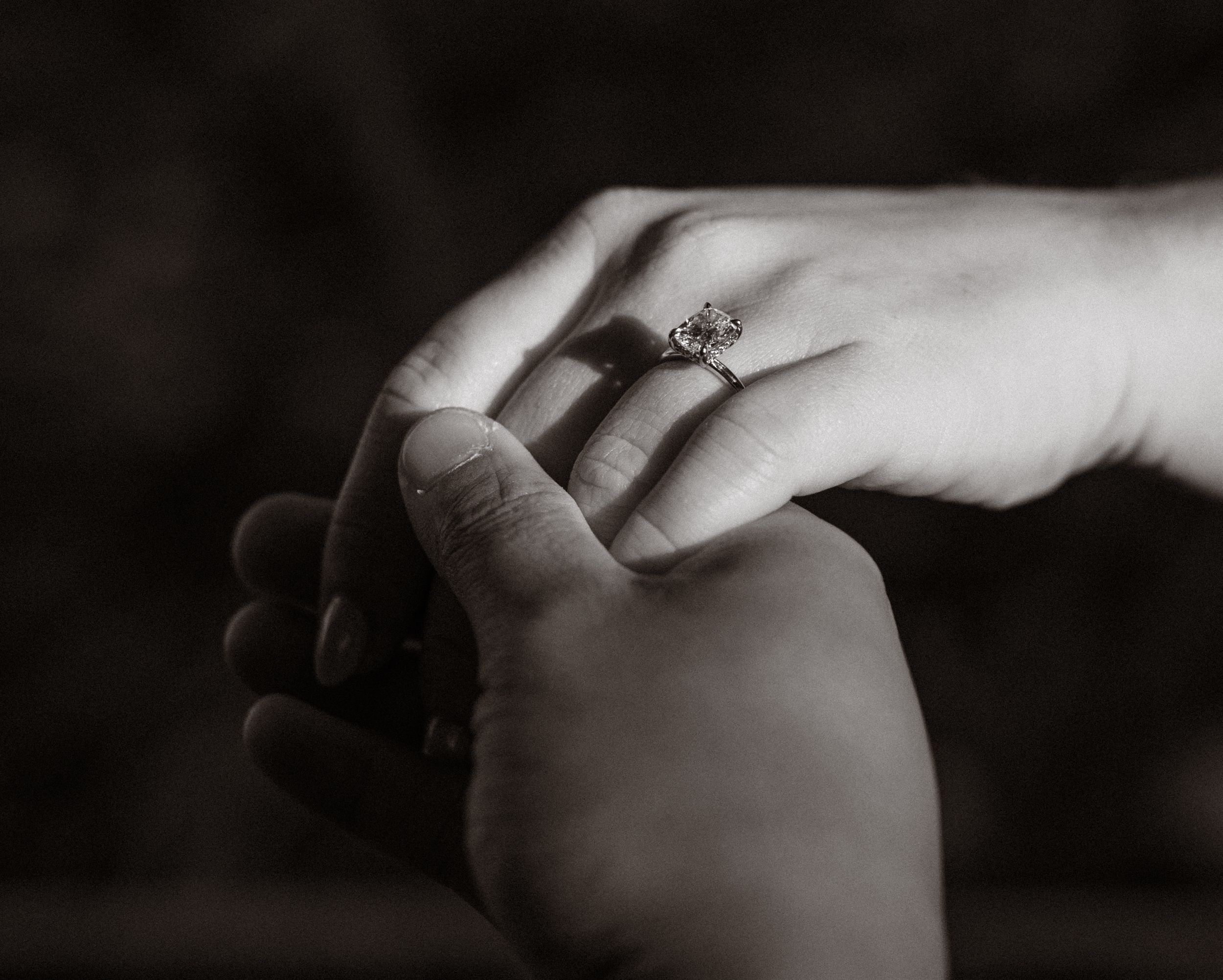 Engaged couple portrait session in Ontario Canada