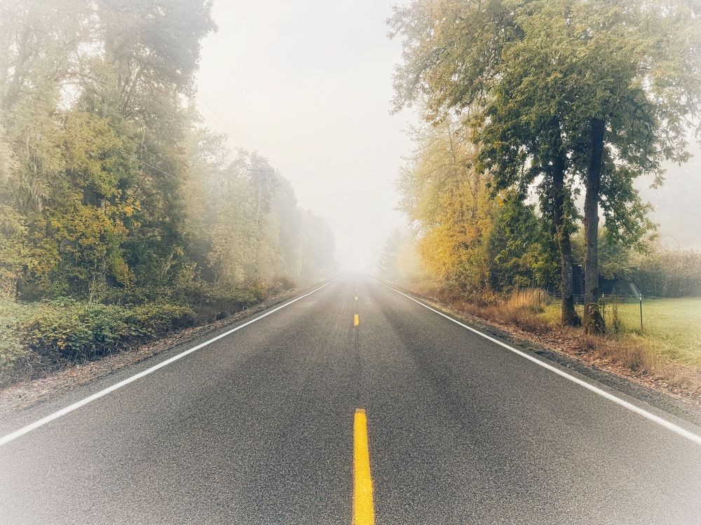 A misty two-lane road stretches into the distance with yellow fall foliage and trees lining both sides.