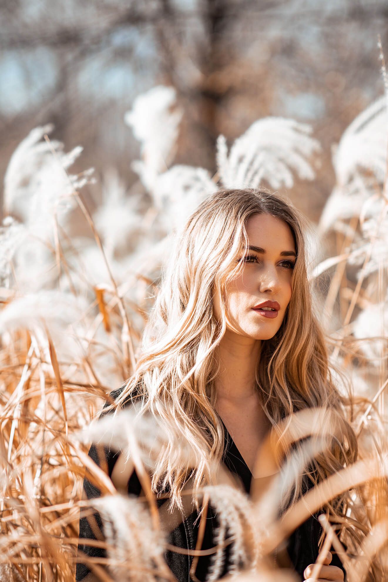 Artistic beauty shot with warm autumn colors and dramatic natural lighting.