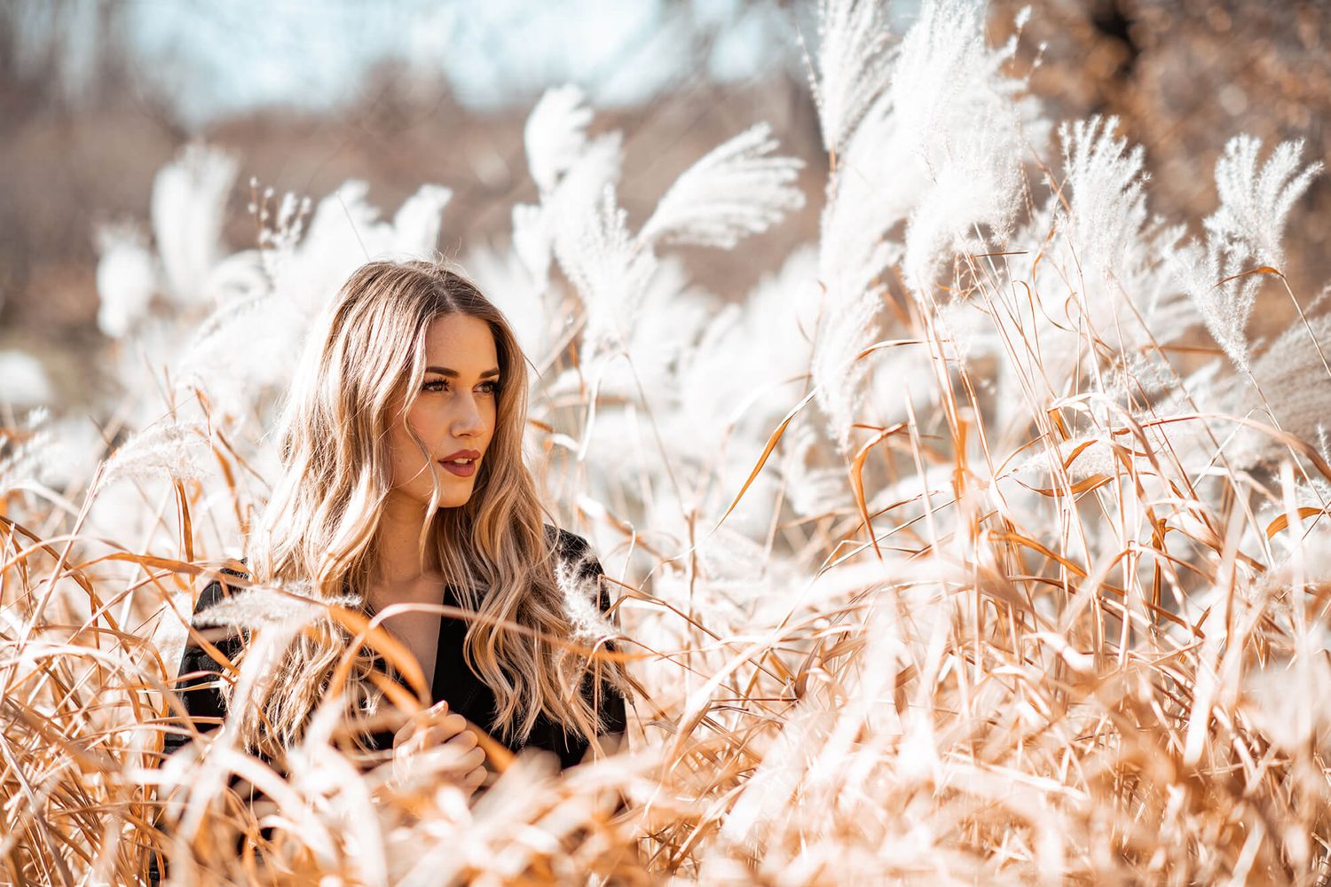 Dreamy outdoor portrait in golden grass with soft focus and warm tones.