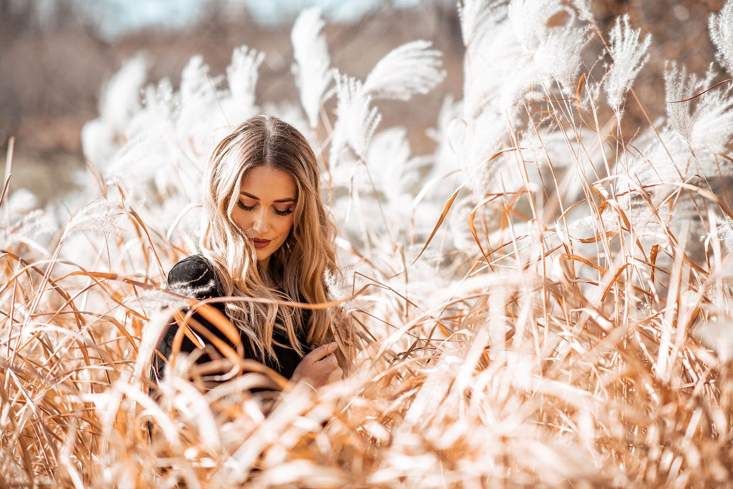 Person sitting among tall dried grass stalks checking phone in warm autumn lighting.