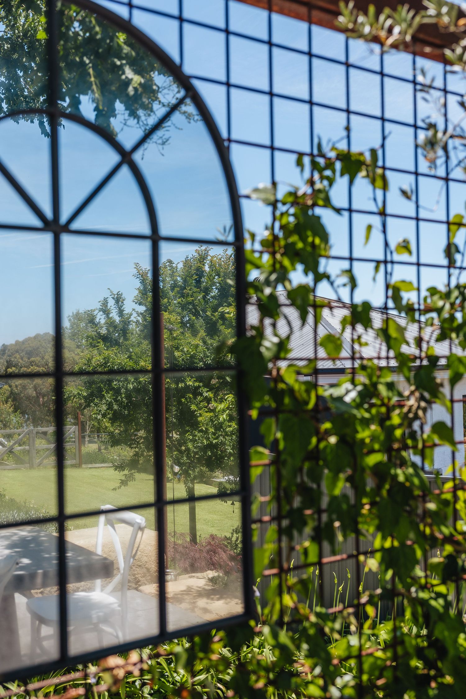 Greenhouse window frames with climbing vines and green foliage looking out to a sunny garden landscape.
