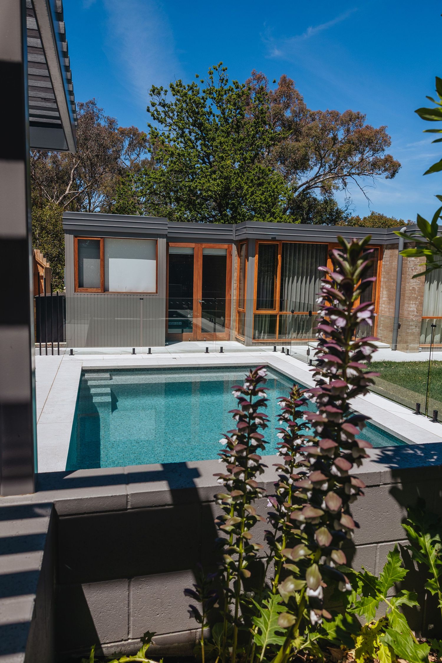 Modern backyard swimming pool with sleek gray decking and lush landscaping elements under bright blue sky.
