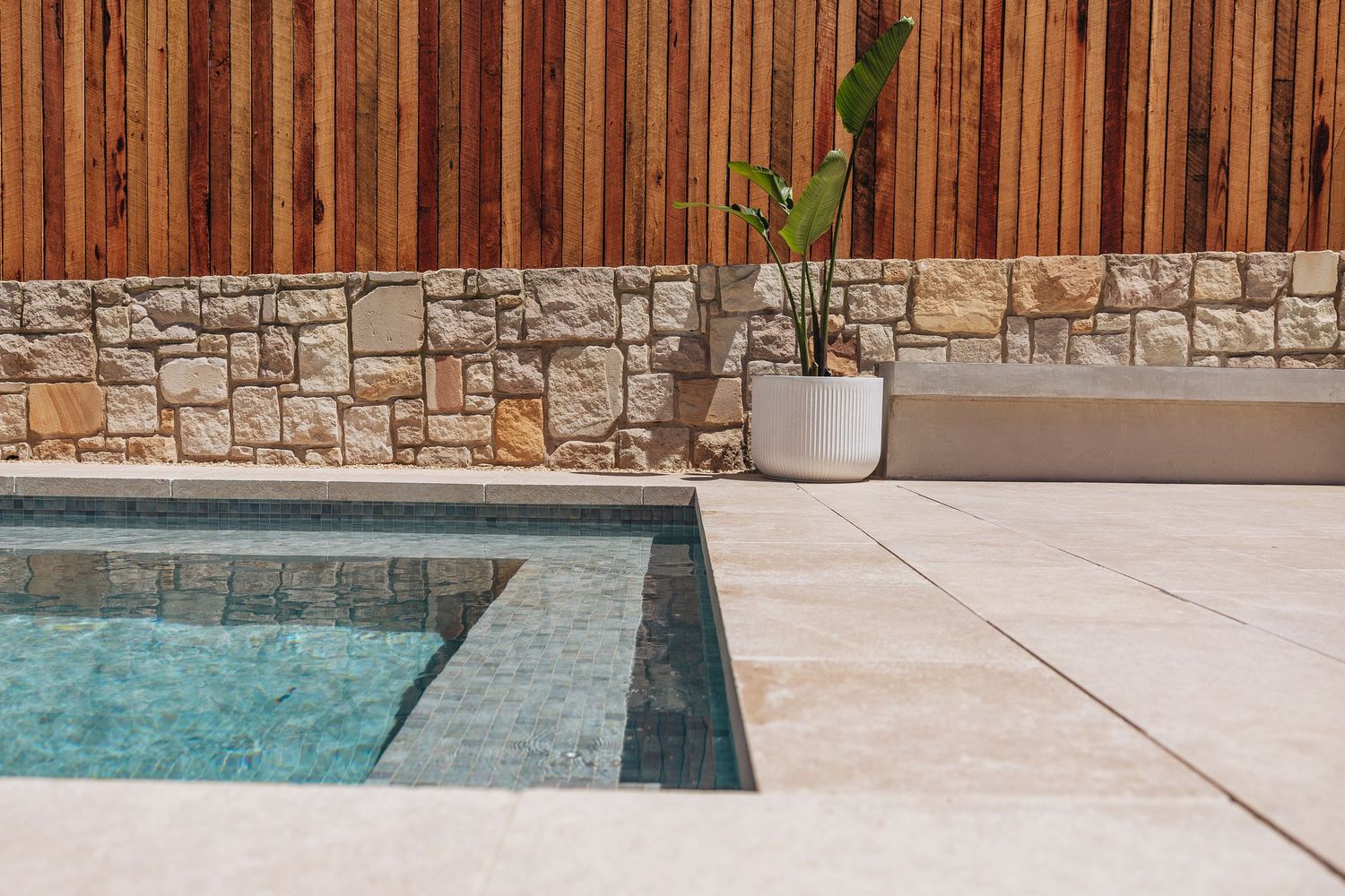 Modern backyard pool with stone wall accent and potted plant on light concrete patio.
