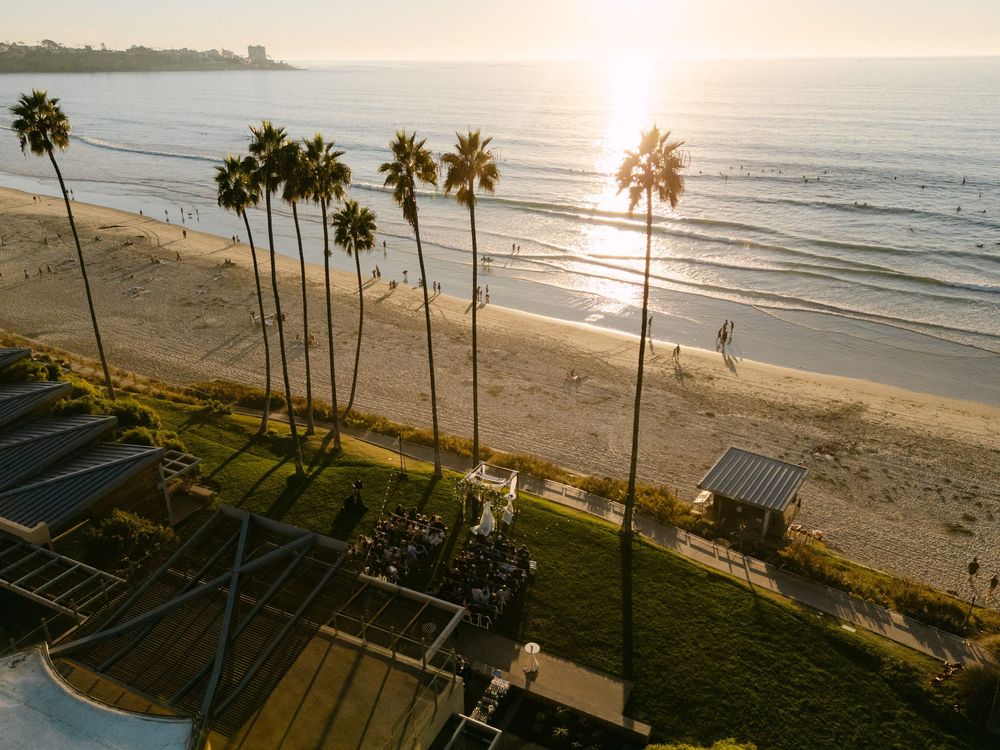 Aerial view of a scenic California beach at sunset with tall palm trees lining the sandy coastline and ocean waves.