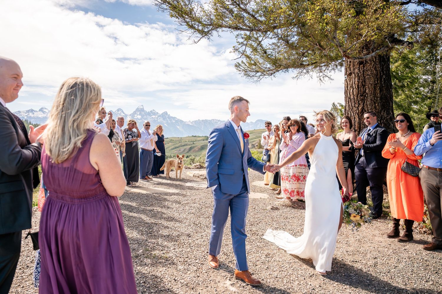 First Kiss at a Wedding Tree wedding in Jackson Hole