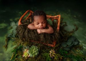 Newborn baby posed in rustic basket surrounded by lush green succulents and moss.