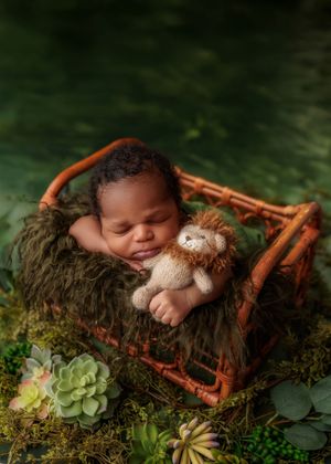 Sleeping newborn baby in a rustic wooden crib holding a lion stuffed animal surrounded by lush green moss and succulents.