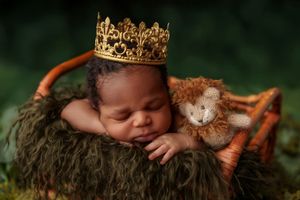 Sleeping newborn wearing gold crown beside lion stuffed animal in mossy basket outdoors.