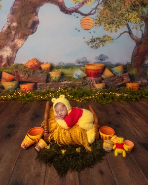 Sleeping newborn dressed as Winnie the Pooh in basket with themed backdrop.