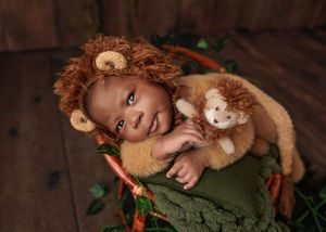 Newborn baby wearing a lion costume hat posed in a basket with a matching stuffed lion toy.