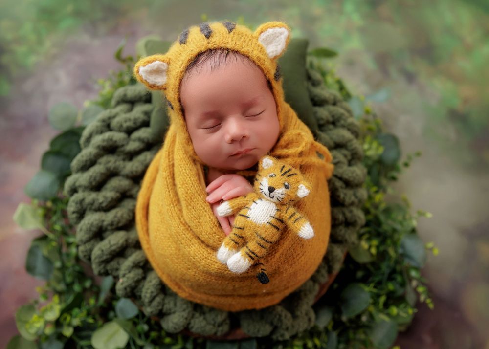 Newborn baby wrapped in mustard yellow knit swaddle wearing lion bonnet holding a tiger stuffed animal.