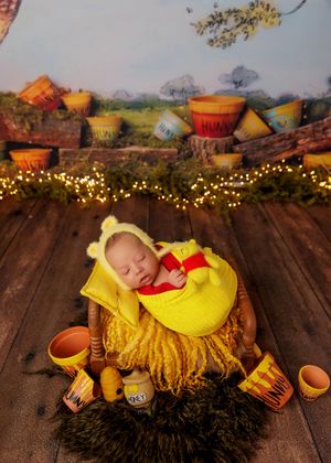 Newborn dressed in yellow Winnie the Pooh costume sleeping in basket with honey pots backdrop.