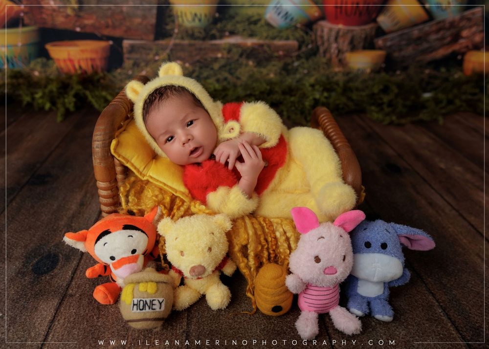 Newborn baby in Winnie the Pooh outfit in a basket with Tigger, Pooh, Piglet, and Eeyore plush toys.