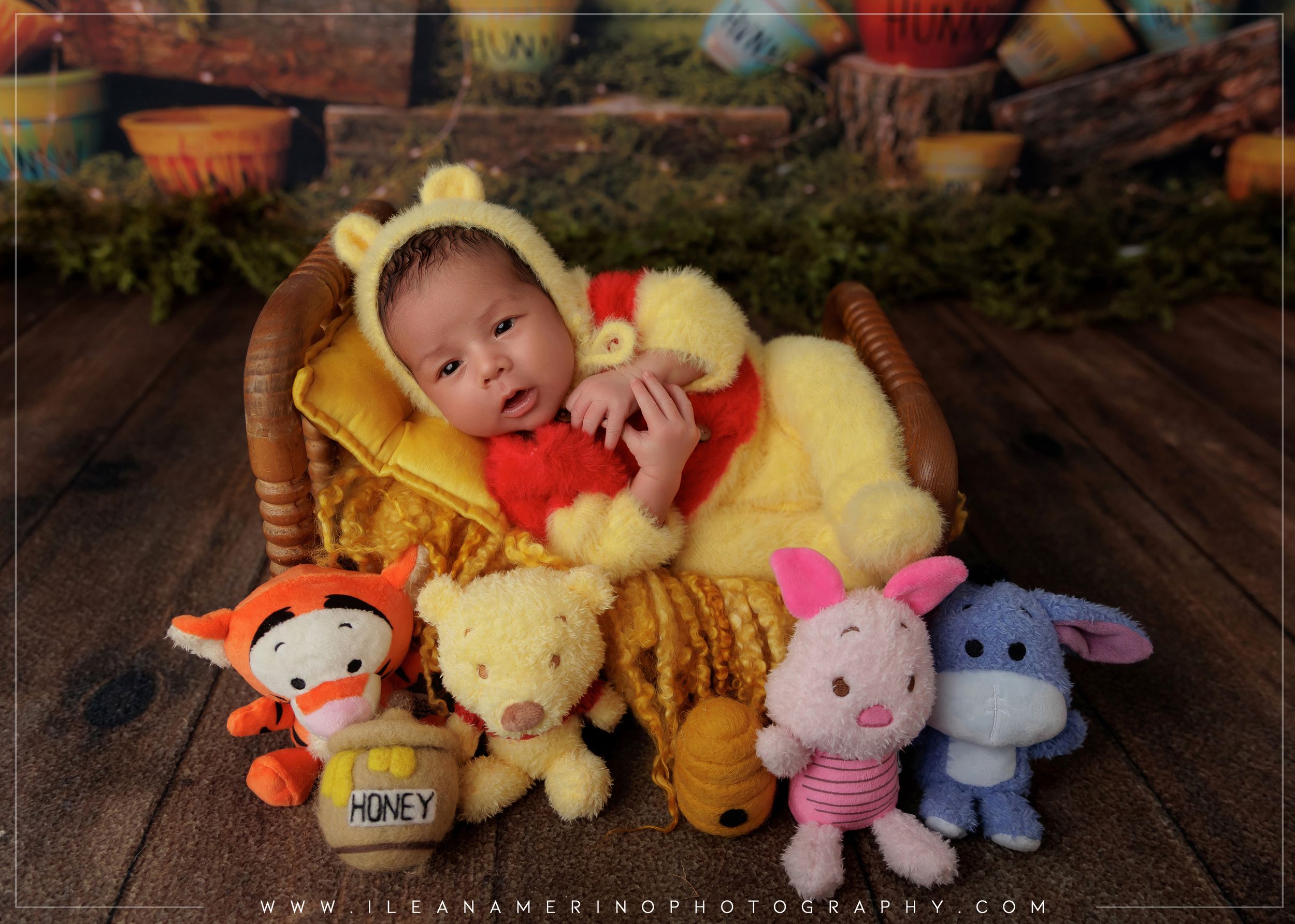 Newborn baby in Winnie the Pooh outfit in a basket with Tigger, Pooh, Piglet, and Eeyore plush toys.