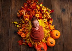 Newborn baby swaddled in rust wrap nestled among colorful fall leaves and orange pumpkins.
