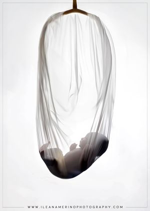 Artistic newborn silhouette photo of baby suspended in a sheer white fabric wrap against white background.