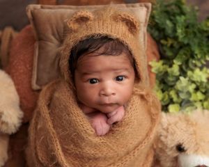 Alert newborn baby in brown bear bonnet and knit wrap with tongue out in a cozy studio setup.