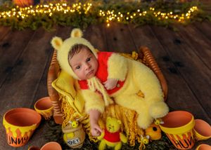 Adorable newborn dressed in Winnie the Pooh costume sitting in a basket surrounded by honey pots.