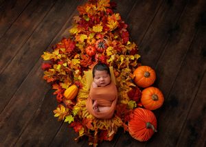 Newborn baby wrapped in orange swaddle surrounded by autumn leaves and pumpkins in a fall-themed photo.