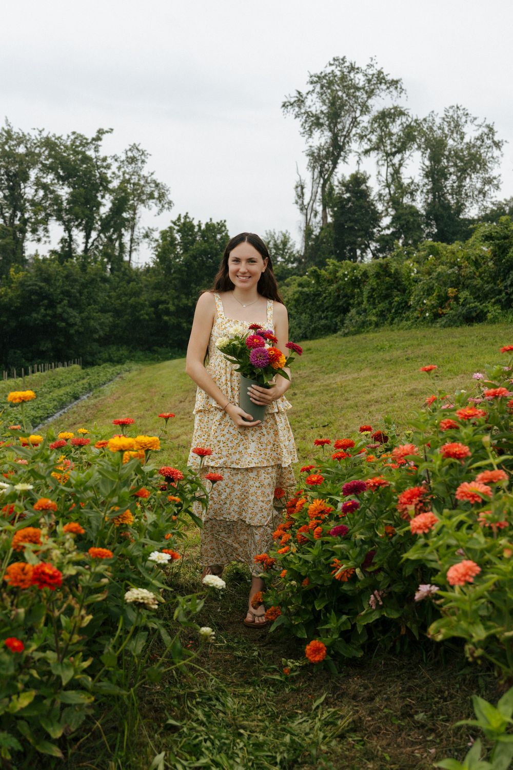 A person in a floral dress picks fresh flowers in a garden filled with colorful zinnias and marigolds.