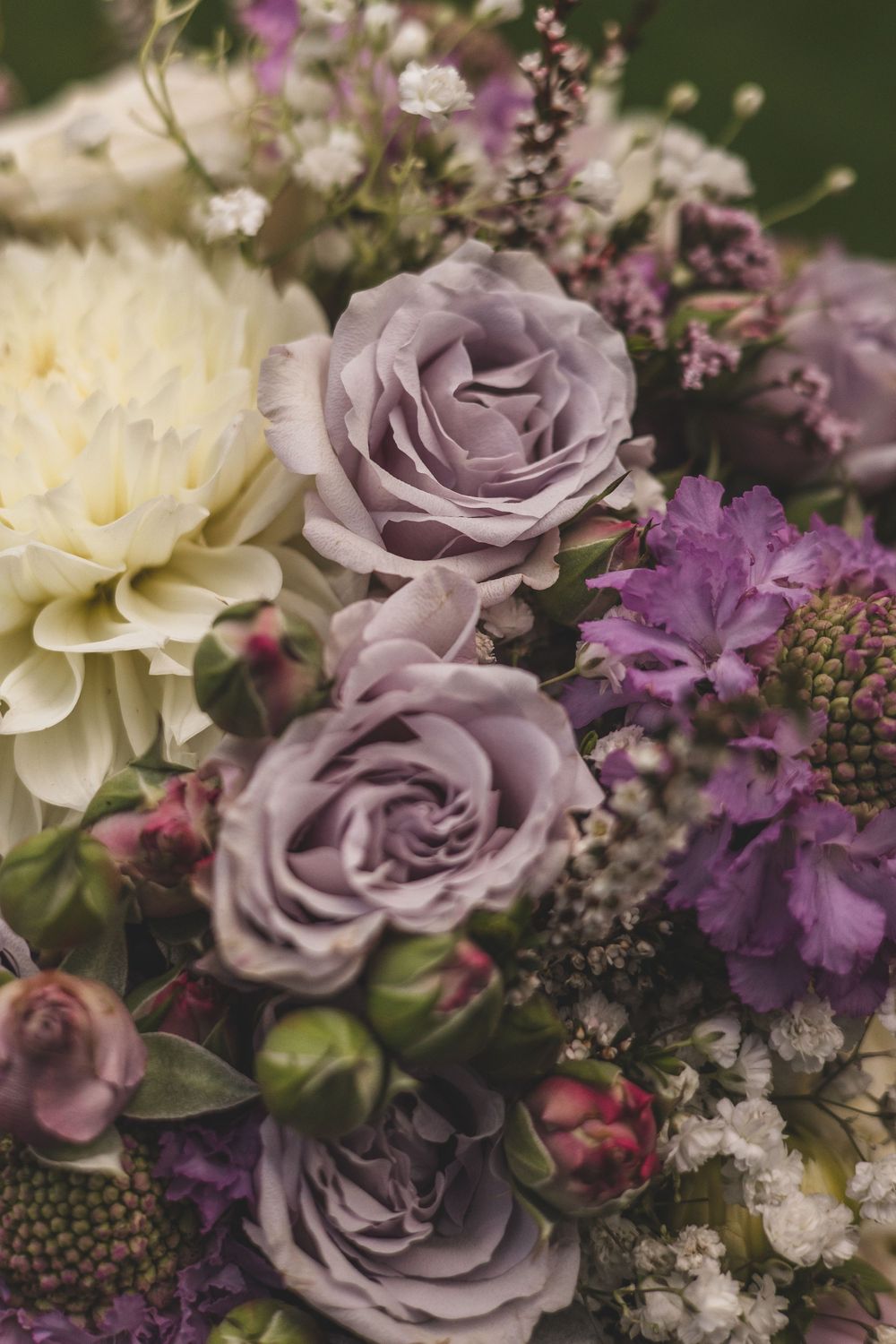Close-up of a romantic wedding bouquet featuring lavender roses and white dahlias with purple accents.