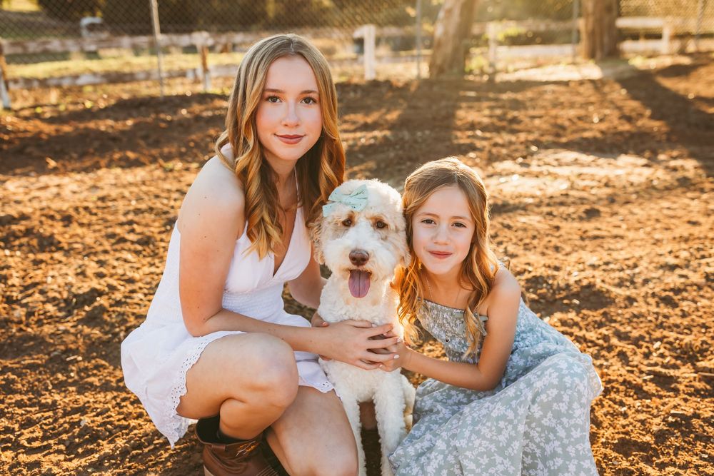 A family and their white dog pose together in warm golden sunlight during an outdoor photo session.