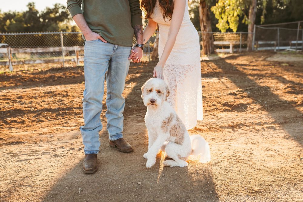 A white fluffy dog stands between two people on a dirt path at sunset in a rustic outdoor setting.