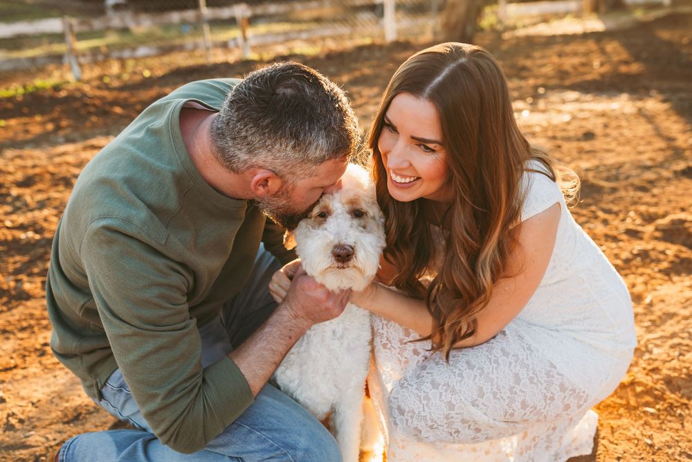 A couple and their fluffy white dog share a joyful moment together in a sunlit outdoor setting.