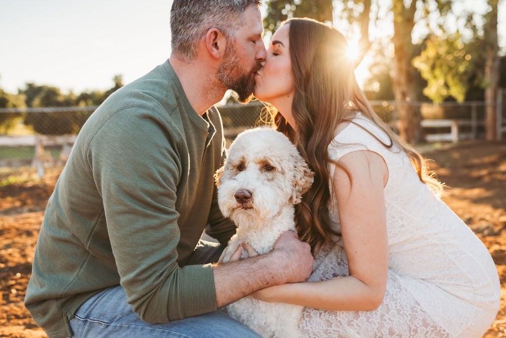 A couple sits together in golden sunlight with their white fluffy dog during a sunset photo session.