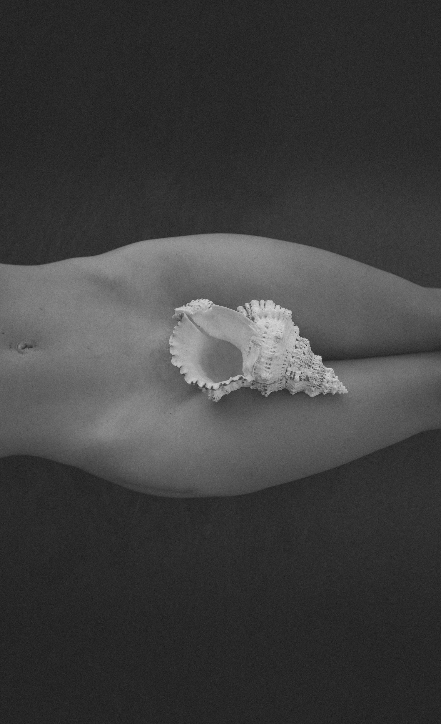 Nami Julia Hampe Women Portrait Photographer in New Zealand